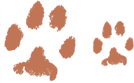 paw print Fox Red Labradors And Friends