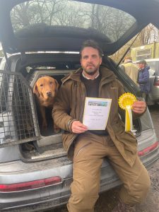 STUD VOMDARKA PADDY 3 Fox Red Labradors And Friends