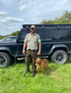 Fox Red Labrador stud