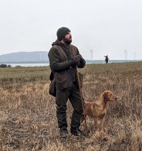 Fox Red Labrador stud 